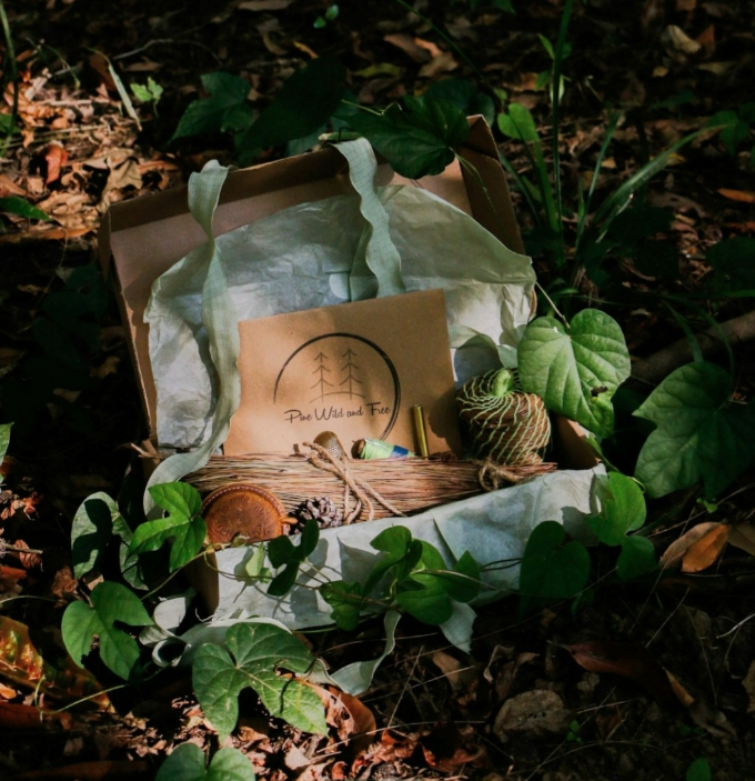 Pine Wild and Free - Mindful Crafting from Nature's Forest Floor